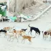 فى الجولة الثامنة.. البنك الأهلى يخشى قوة دجلة