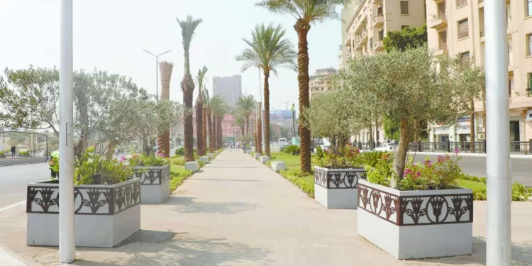 فى الجولة الثامنة.. البنك الأهلى يخشى قوة دجلة