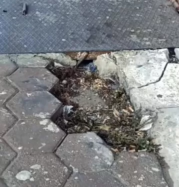 محافظ الإسكندرية يأمر بتطوير كوبري ستانلي بعد تداول فيديوهات تآكله