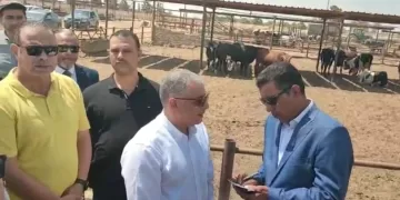 اللواء أكرم جلال: تسهيلات جديدة للمستثمرين الزراعيين وهدفنا الاكتفاء الذاتي