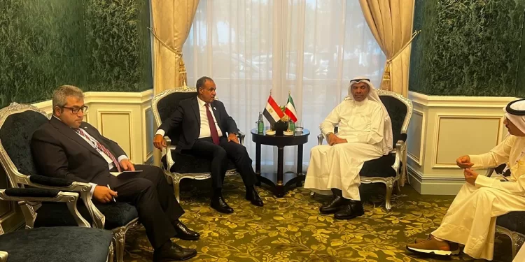 وزيرا خارجية مصر والكويت يبحثان تطورات غزة ويؤكدان دعم حل الدولتين