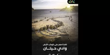 فيديو.. «وادي الحيتان»..رحلة عبر ملايين السنين تكشفها مكتبة الإسكندرية