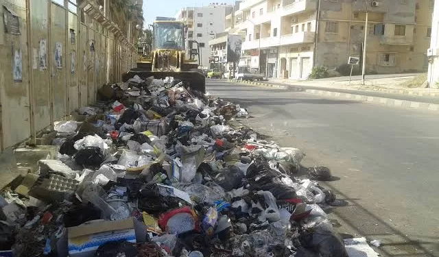 «طه عوض الله» ضمن أفضل 2% من علماء العالم