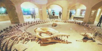 استثمار وادى الريان سياحيًا