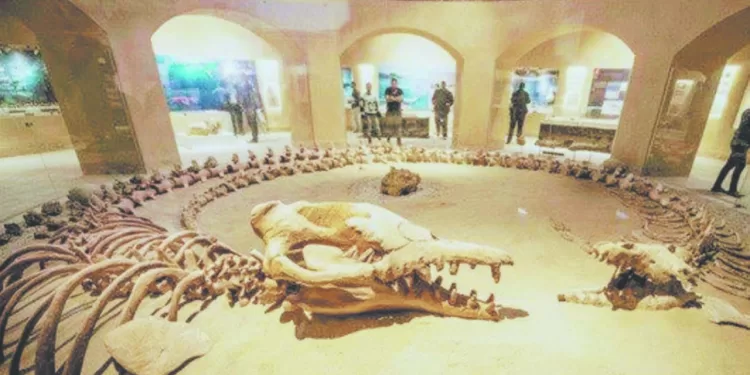 استثمار وادى الريان سياحيًا