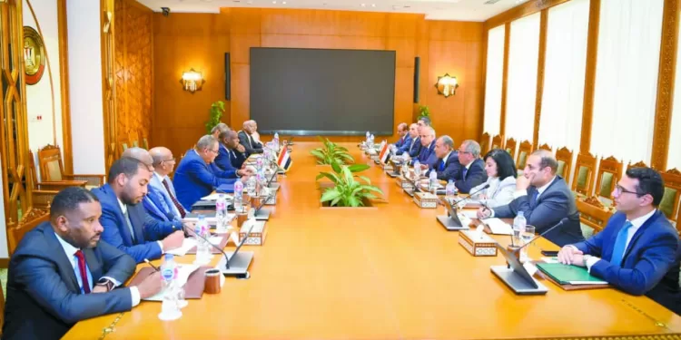 فى بيان مشترك لاجتماع آلية «٢+٢» : الأمن المائى لـ «مصر والسودان» جزء واحد لا يتجزأ