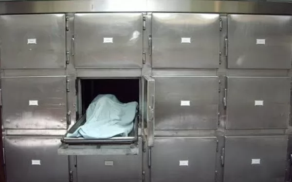 المشدد 15 عاما لبائع متجول قتل شيخ خفراء قريته بالشرقية