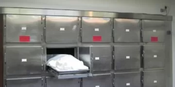 قتل الابن العاق والده لاعتزامه إلحاقه بمصحة نفسية في الشرقية