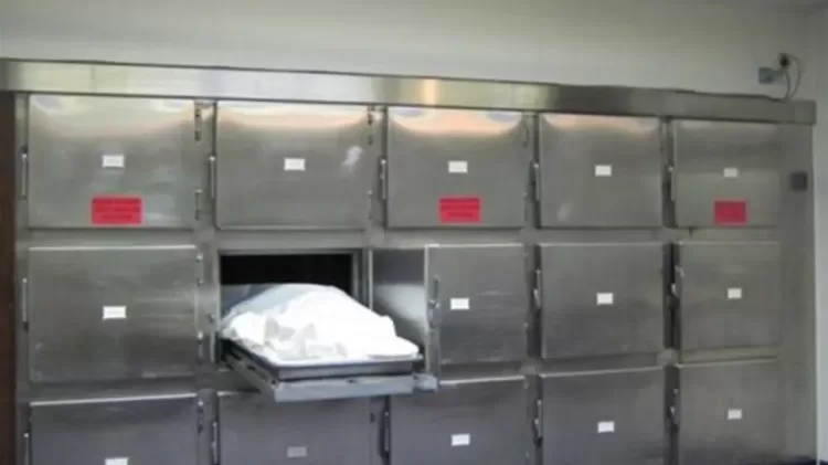 قتل الابن العاق والده لاعتزامه إلحاقه بمصحة نفسية في الشرقية