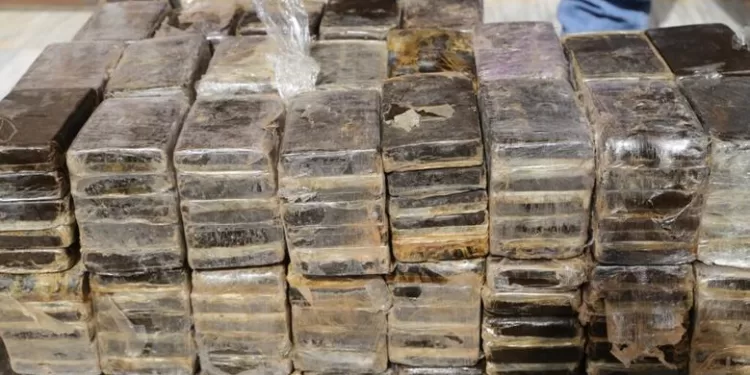 ضبط تاجرة مخدرات بحوزتها 200 طربة حشيش قبل ترويجها