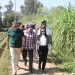  محافظ البحيرة تتفقد إرتفاع منسوب المياة بأراضى طرح النهر بكوم حمادة