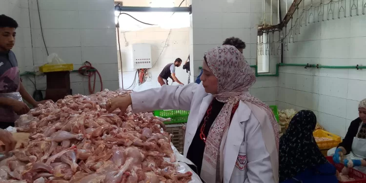 ضبط 15 طنًا من الدواجن المجمَّدة مجهولة المصدر بالشرقية