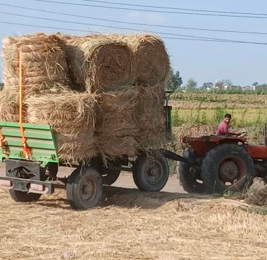 محافظ الشرقية: إجراءات حاسمة لمواجهة ظاهرة حرق قش الأرز 1 - جريدة الجمهورية محافظ الشرقية: إجراءات حاسمة لمواجهة ظاهرة حرق قش الأرز