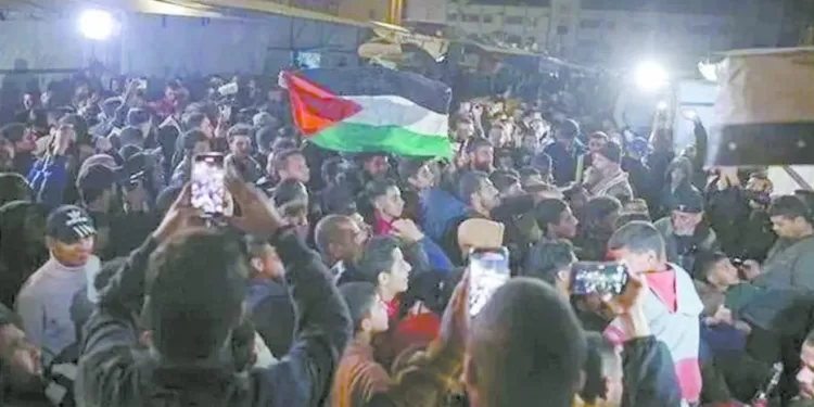 غزة تعود للحياة