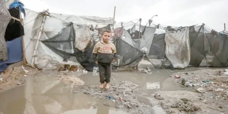 قوافل المساعدات مدت قطاع غزة بشريان حياة فى مواجهة حرب الإبادة 1 - جريدة الجمهورية قوافل المساعدات مدت قطاع غزة بشريان حياة فى مواجهة حرب الإبادة