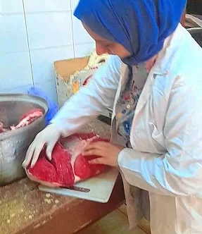 الطب البيطري بسوهاج يوزع 80 رأس غنم على الأسر المستحقة ويضبط 300 كجم من الأسماك الفاسدة بساقلته 5 - جريدة الجمهورية 16 - جريدة الجمهورية