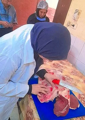 الطب البيطري بسوهاج يوزع 80 رأس غنم على الأسر المستحقة ويضبط 300 كجم من الأسماك الفاسدة بساقلته 6 - جريدة الجمهورية 17 - جريدة الجمهورية