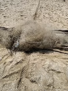بمؤتمر أبوظبي..مصر تثبت التزامها البيئي بعرض حلول طبيعية وإزالة شباك تهدد الطيور 3 - جريدة الجمهورية 3 26 - جريدة الجمهورية