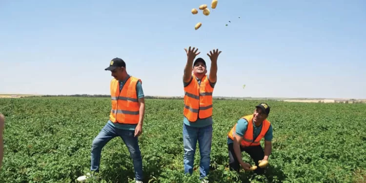 الدلتا الجديدة وتوشكى.. نموذج للتنمية المتكاملة اقتحام الصحراء بأكبر مشروع فى تاريخ مصر 1 - جريدة الجمهورية الدلتا الجديدة وتوشكى.. نموذج للتنمية المتكاملة اقتحام الصحراء بأكبر مشروع فى تاريخ مصر