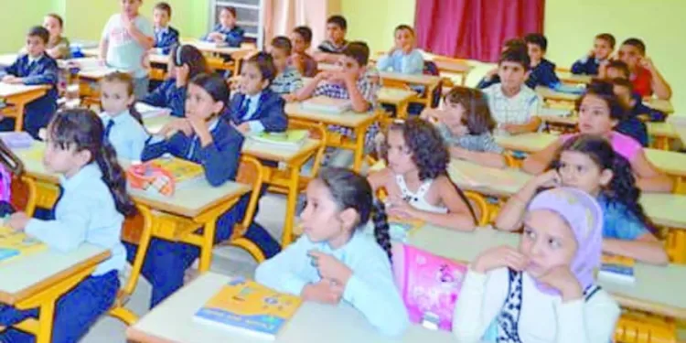 الخبراء يشيدون بنظام التقييمات الجديد التلاميذ.. عادوا للمدارس 1 - جريدة الجمهورية الخبراء يشيدون بنظام التقييمات الجديد التلاميذ.. عادوا للمدارس