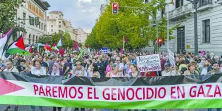 «أبناء طولان» يواجهون أسود «الأطلسى»