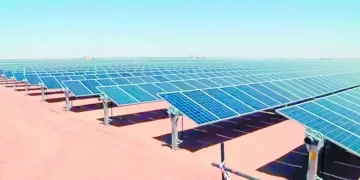 وزير الرياضة يهنىء اتحاد رفع الأثقال