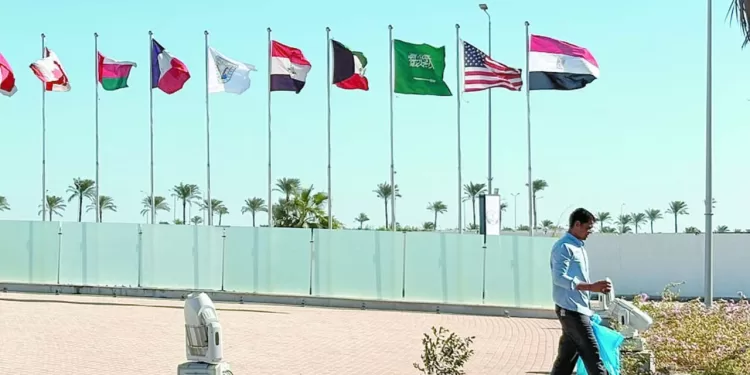 بيراميدز .. كامل العدد