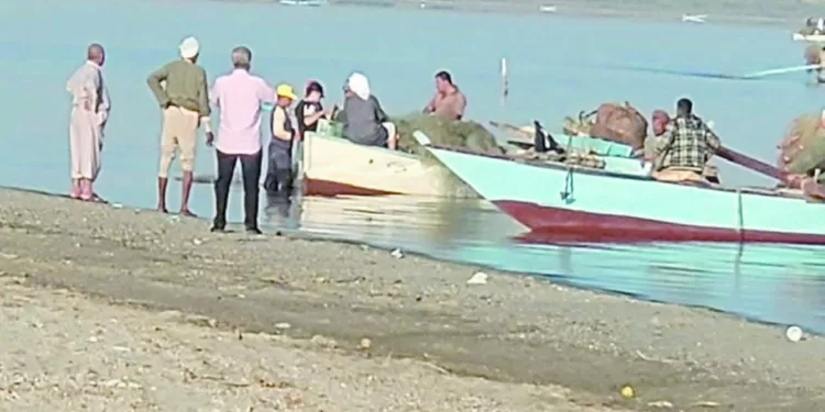 «الجبلاية» تنفى قيادة «غريب» للمنتخب الأولمبى