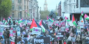 «الجبلاية» تنفى قيادة «غريب» للمنتخب الأولمبى