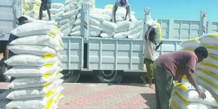 70 مليار جنيه تتحملها الدولة لتوفير الأسمدة للمزارعين 1 - جريدة الجمهورية «توروب» يقود الأهلى لتحدٍ جديد أمام الاتحاد السكندرى