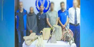 «توروب» يقود الأهلى لتحدٍ جديد أمام الاتحاد السكندرى