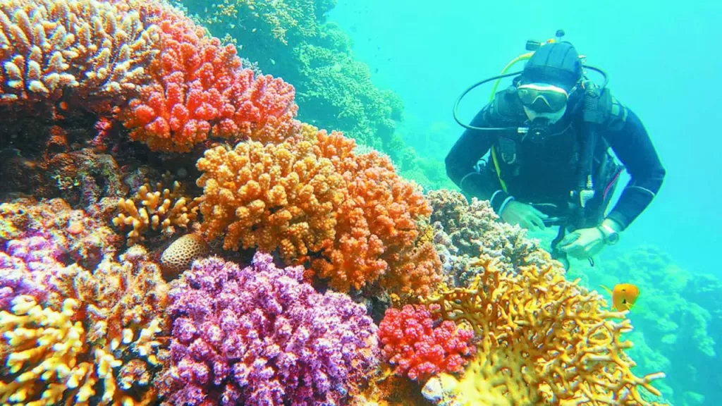 «حرب على الحياة».. المحميات المصرية تستغيث من نيران التعدي والصيد الجائر 2 - جريدة الجمهورية IMG 20251022 WA0021 - جريدة الجمهورية