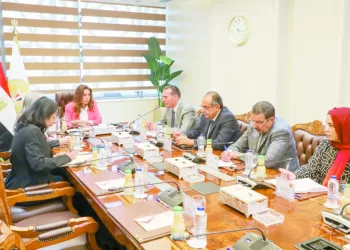 منال عوض: تنفيذ مشروعات البنية التحتية والخدمات العامة ببرنامج تنمية الصعيد 3 - جريدة الجمهورية غضب فى بيراميدز