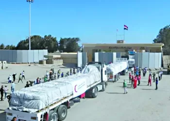 «زاد العزة».. 10 آلاف طن مساعدات مصرية جديدة لغزة 2 - جريدة الجمهورية غضب فى بيراميدز