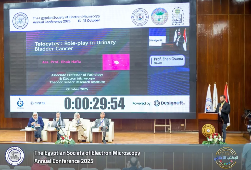 IMG 20251029 WA0087 - جريدة الجمهورية