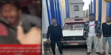 لاتهامهم بـ«إرهاب المواطنين».. القبض على ثلاثة شباب هددوا شخصًا من ذوي الاحتياجات الخاصة بـ«كلب متوحش»