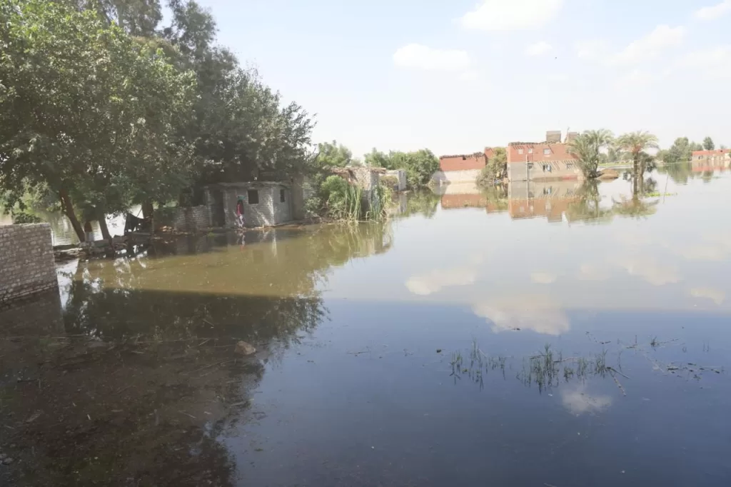 محافظ المنوفية يوجه قوافل طبية وغذائية عاجلة لدعم أهالي «دلهمو» المتضررين من فيضان النيل 5 - جريدة الجمهورية WhatsApp Image 2025 10 04 at 2.16.03 PM 1 - جريدة الجمهورية