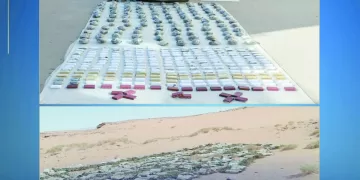 وزير الرياضة يهنىء اتحاد رفع الأثقال