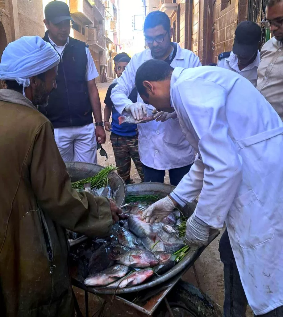 «الطب البيطري بسوهاج» يضبط 197 كجم من اللحوم والأسماك الفاسدة 6 - جريدة الجمهورية WhatsApp Image 2025 10 09 at 2.40.56 PM - جريدة الجمهورية