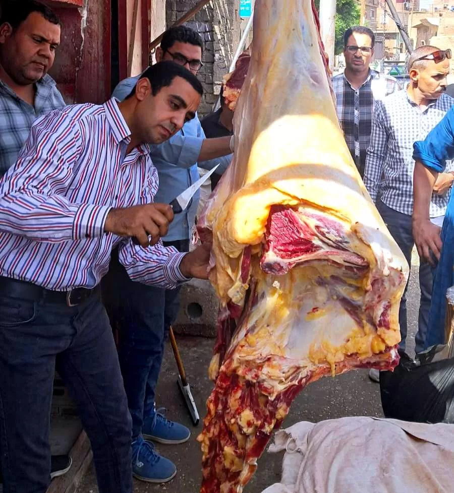 «الطب البيطري بسوهاج» يضبط 197 كجم من اللحوم والأسماك الفاسدة 2 - جريدة الجمهورية WhatsApp Image 2025 10 09 at 2.40.57 PM - جريدة الجمهورية