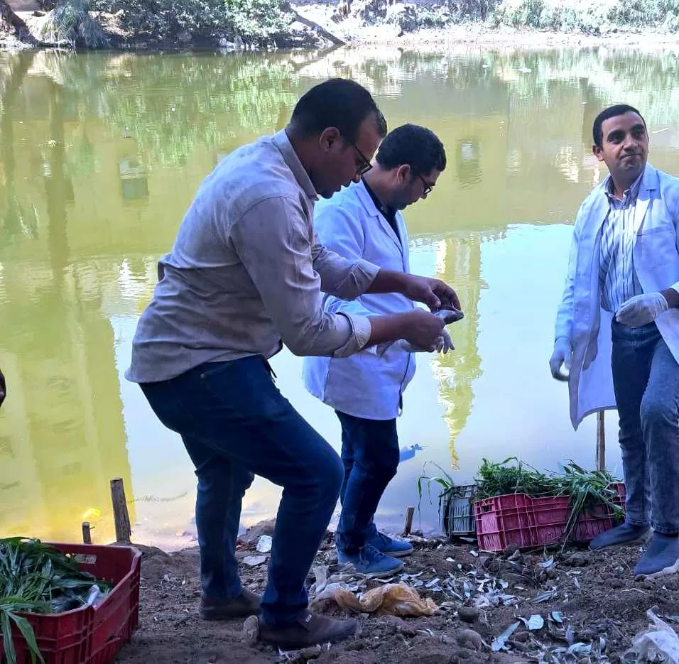 «الطب البيطري بسوهاج» يضبط 197 كجم من اللحوم والأسماك الفاسدة 3 - جريدة الجمهورية WhatsApp Image 2025 10 09 at 2.40.58 PM - جريدة الجمهورية