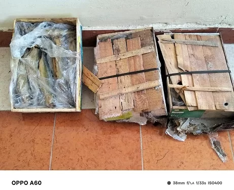 تموين السويس يضبط سلعًا فاسدة ويغلق مخبزًا خلال حملة رقابية موسعة 1 - جريدة الجمهورية تموين السويس يضبط سلعًا فاسدة ويغلق مخبزًا خلال حملة رقابية موسعة