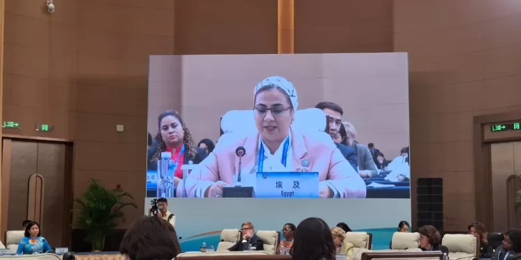 أمل عمار: تلقي كلمة مصر في بكين احتفالًا بالذكرى الـ30 لمنهاج عمل بكين للمرأة