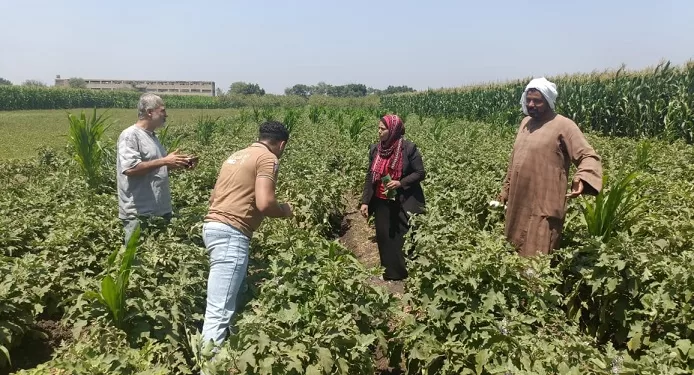 الهيئة الإنجيلية تطلق المرحلة الرابعة من مبادرة “ازرع” لدعم صغار مزارعي القمح في 16 محافظة