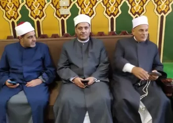 انطلاق احتفالات مولد سيدي إبراهيم الدسوقي وسط حضور مليوني زائر 3 - جريدة الجمهورية انطلاق احتفالات مولد سيدي إبراهيم الدسوقي وسط حضور مليوني زائر