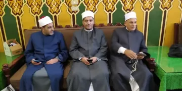 انطلاق احتفالات مولد سيدي إبراهيم الدسوقي وسط حضور مليوني زائر
