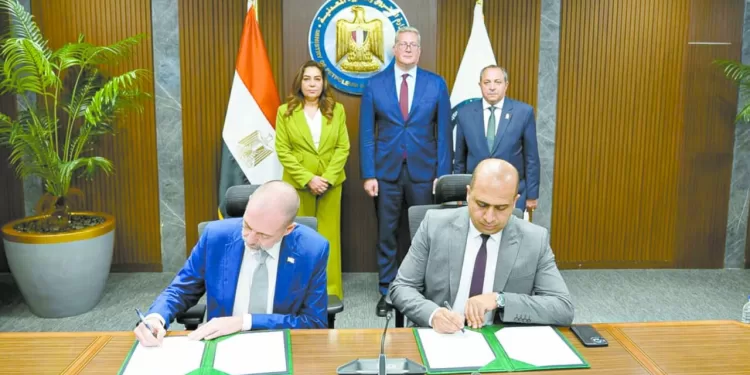 غضب فى بيراميدز