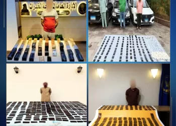 ضربات أمنية ناجحة ضد «تجار الموت» في مطروح.. ضبط شحنة مخدرات بـ94 مليون جنيه وترسانة سلاح 3 - جريدة الجمهورية ضربات أمنية ناجحة ضد «تجار الموت» في مطروح.. ضبط شحنة مخدرات بـ94 مليون جنيه وترسانة سلاح