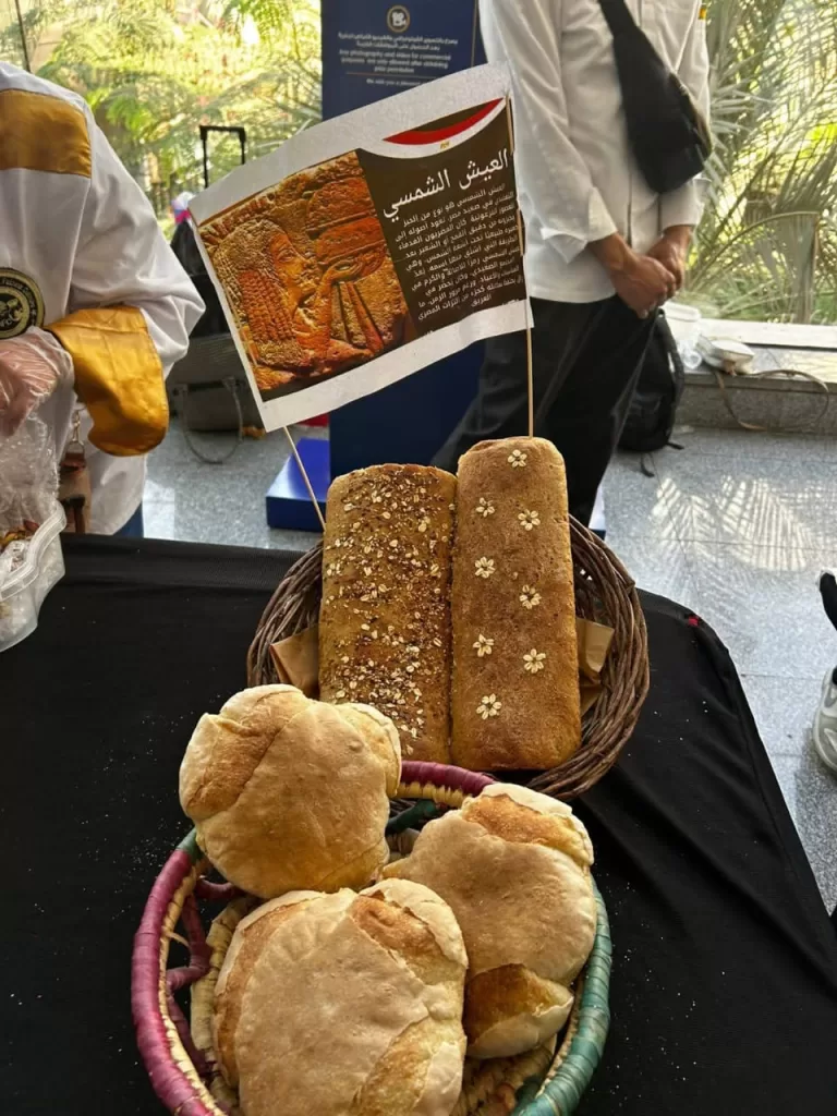 انطلاق فعاليات «حضارة وشعوب» بمتحف الحضارة احتفاءً باليوم العالمي للتراث 2 - جريدة الجمهورية WhatsApp Image 2025 10 28 at 5.58.16 PM - جريدة الجمهورية