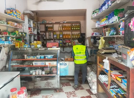 2526 أسرة تستفيد.. الأورمان والتضامن يسلمان مشاريع تنموية لتوفير «حياة كريمة» بالدقهلية